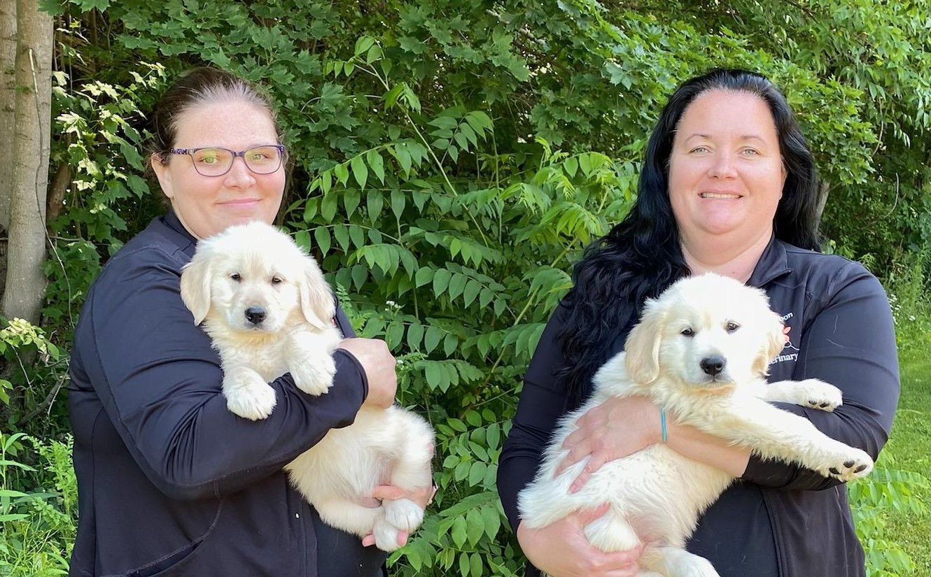 Lisbon Veterinary Clinic Our Staff